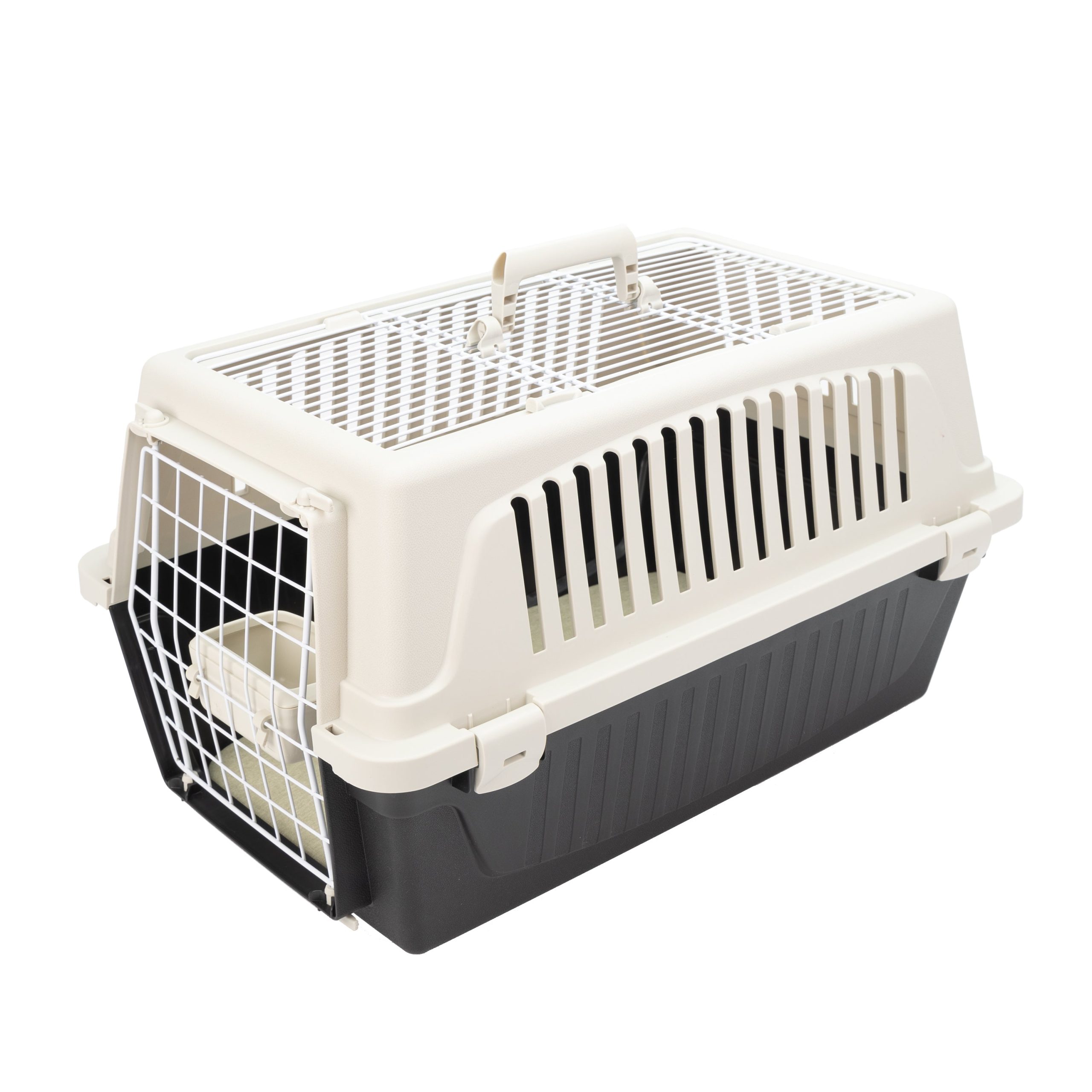 sécurité optimale pour chat