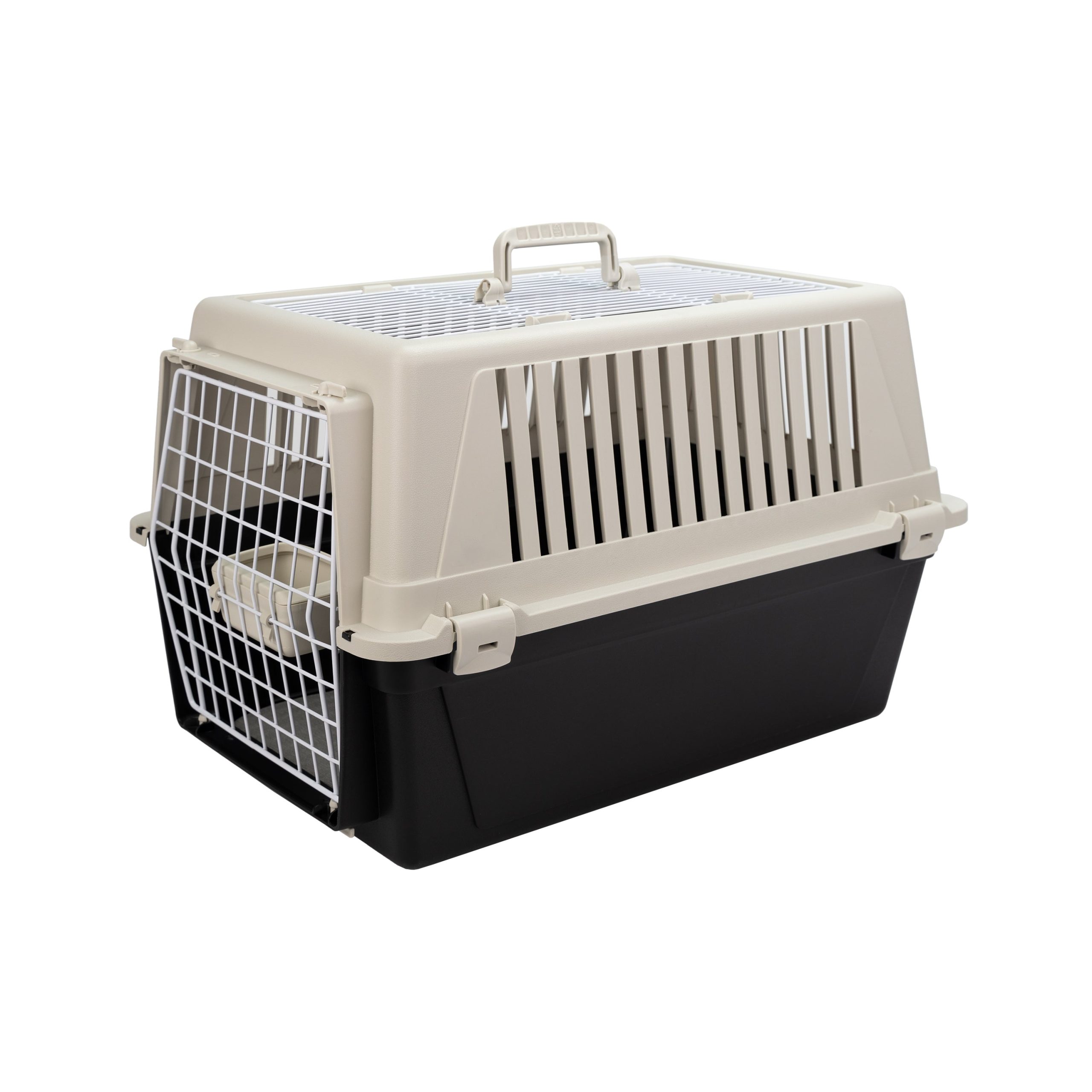 voyage en avion avec chat