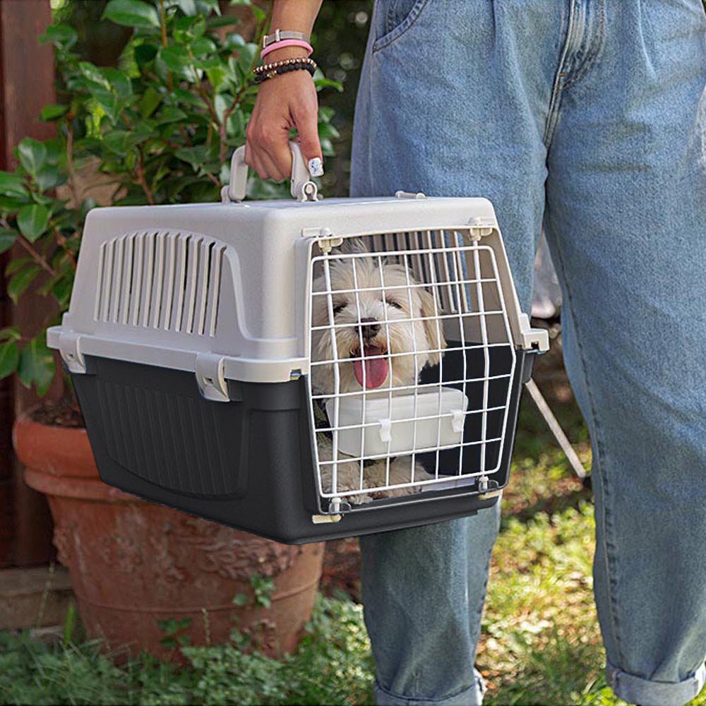 transport pour chat en voiture