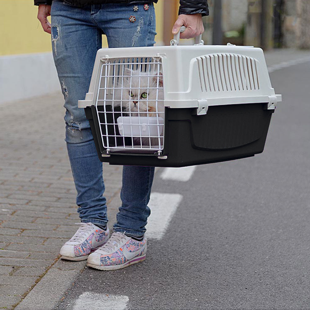ouverture cage pour chat