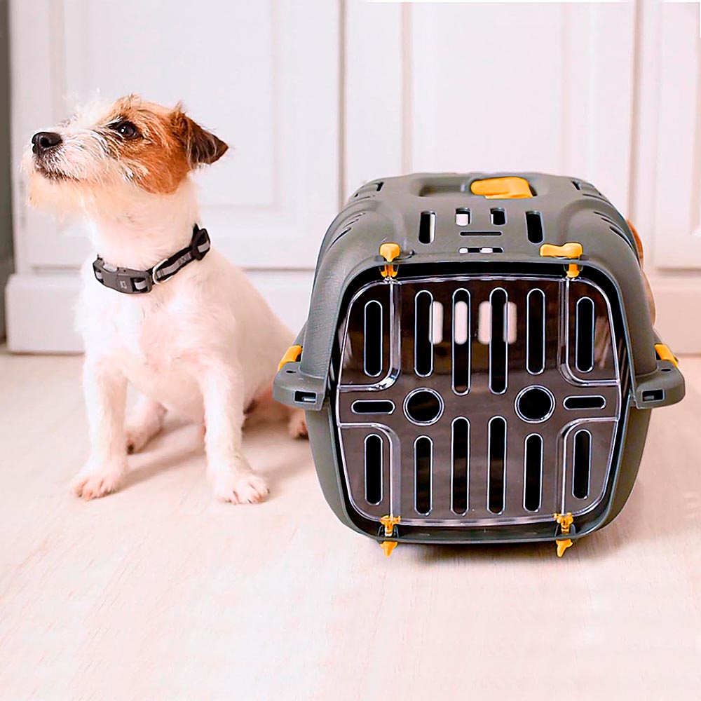 Cage écologique pour chat