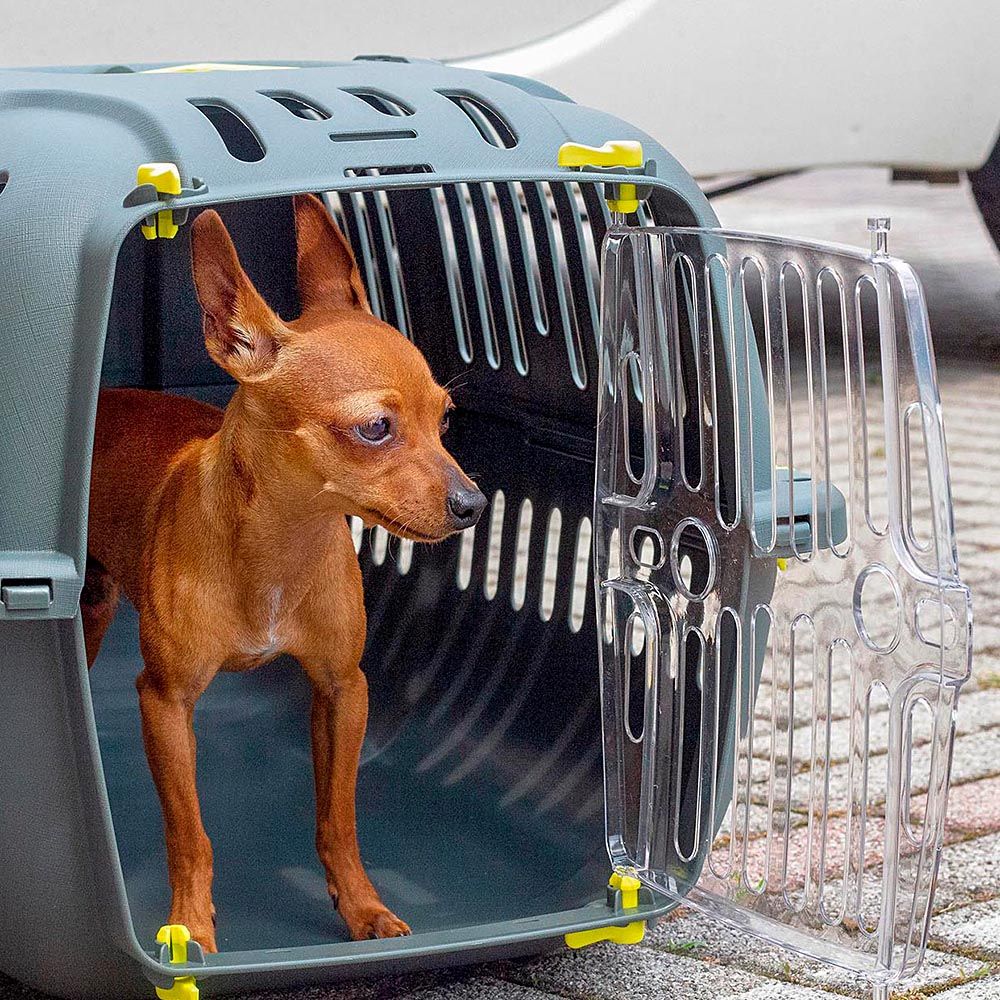 Cage chat aérodynamique