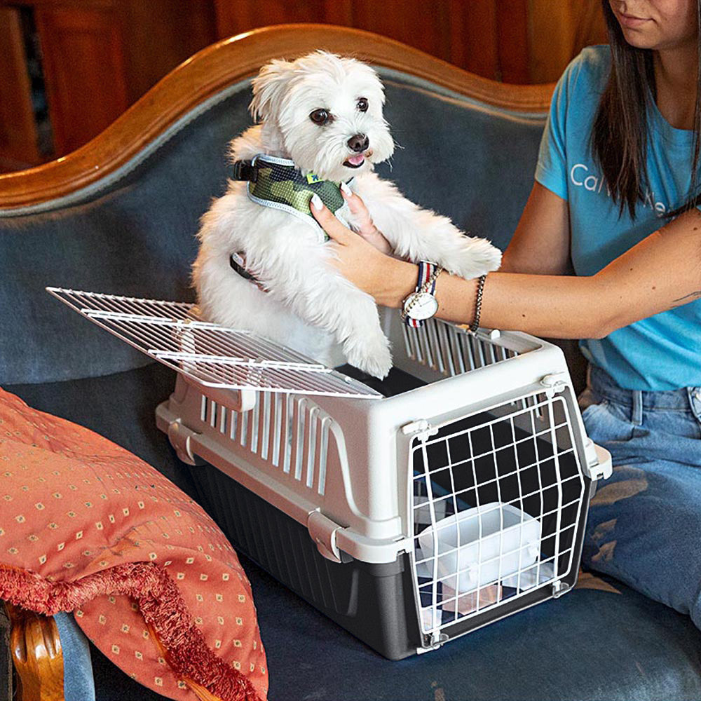 sécurité pour chat en voyage
