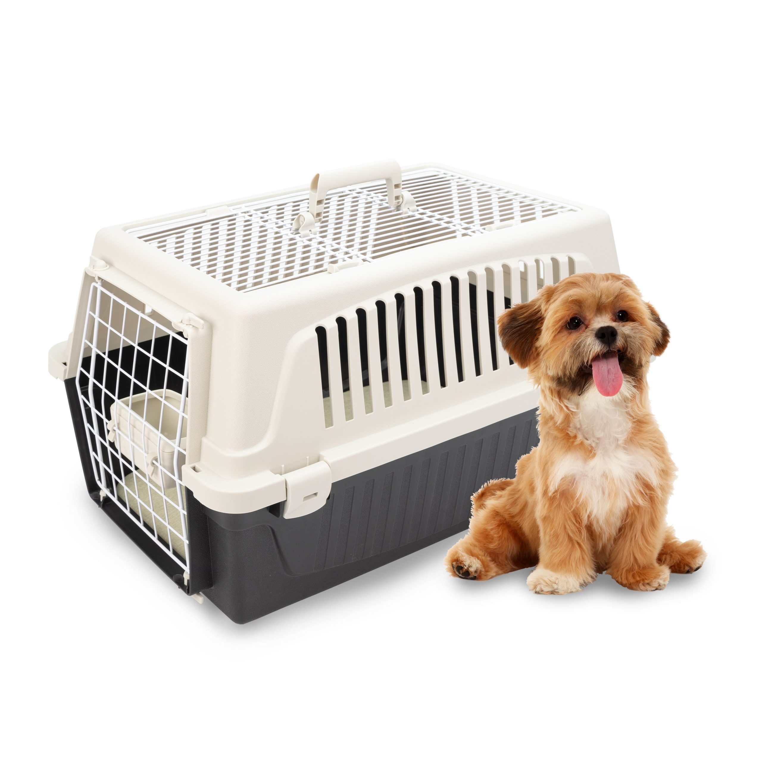 facile à assembler cage chat