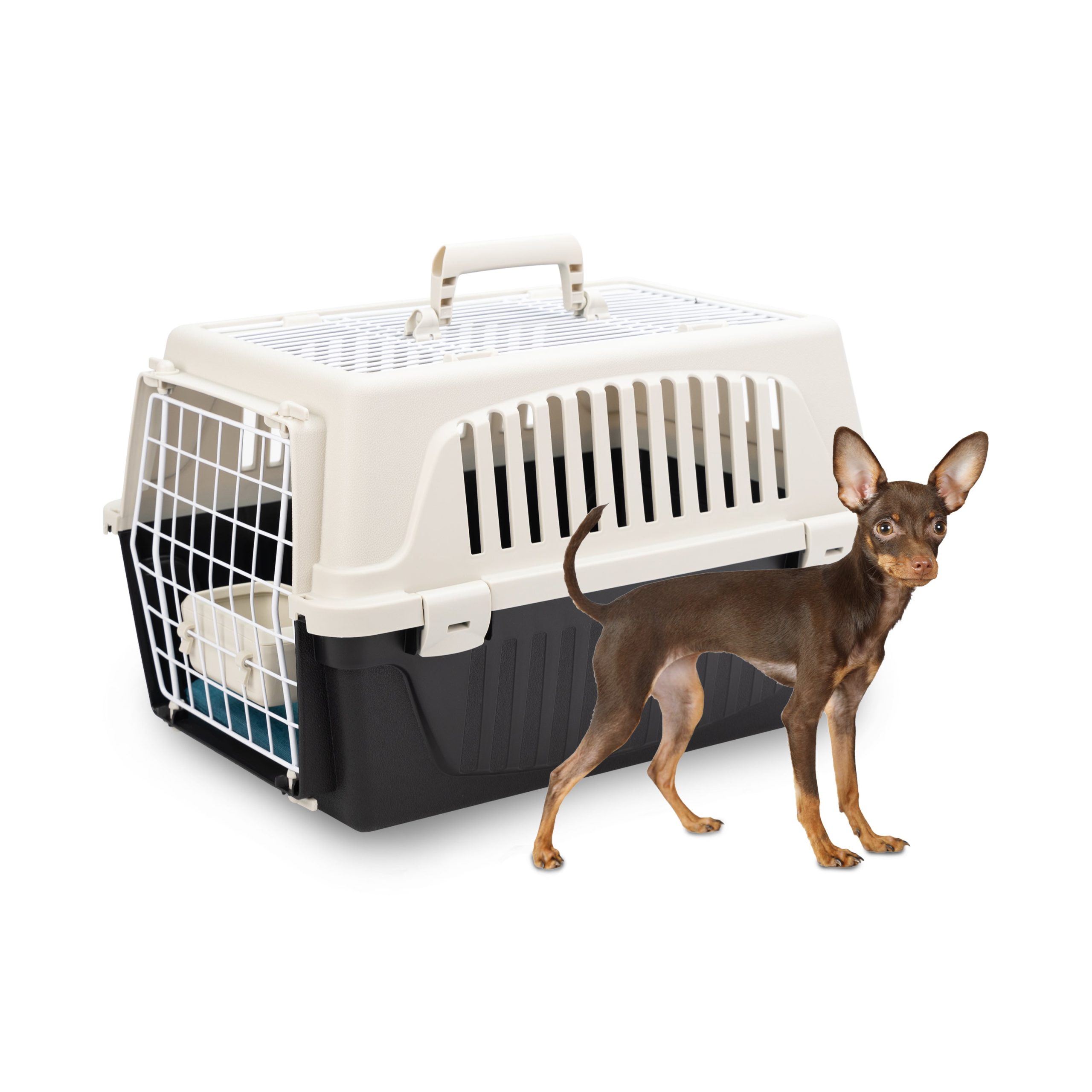 cage plastique pour chat