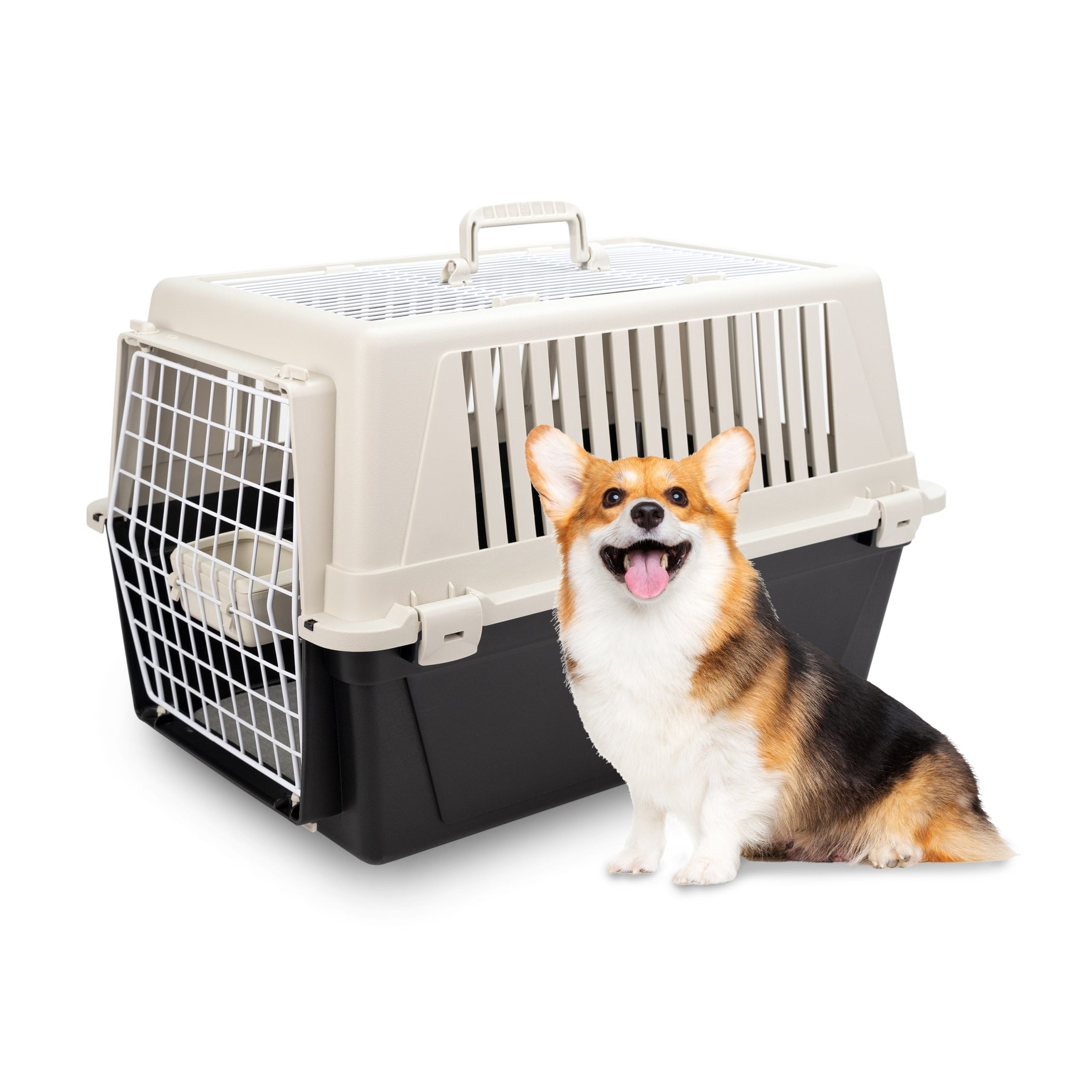 aération cage pour chat