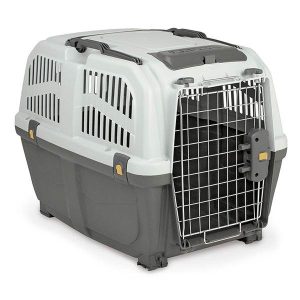 cage de transport pour chat