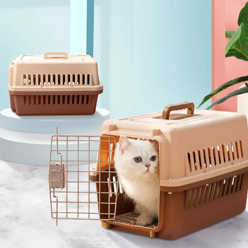 caisse de transport pour chat