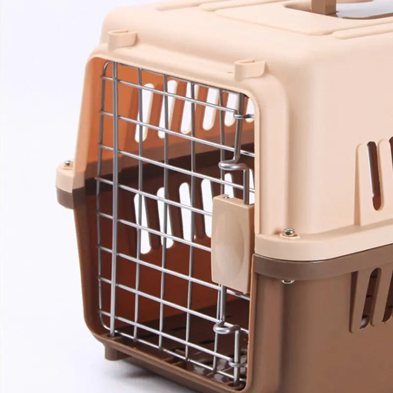 transport aérien pour chat