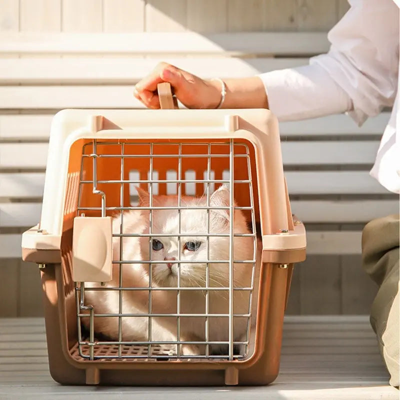 caisse plastique pour chat