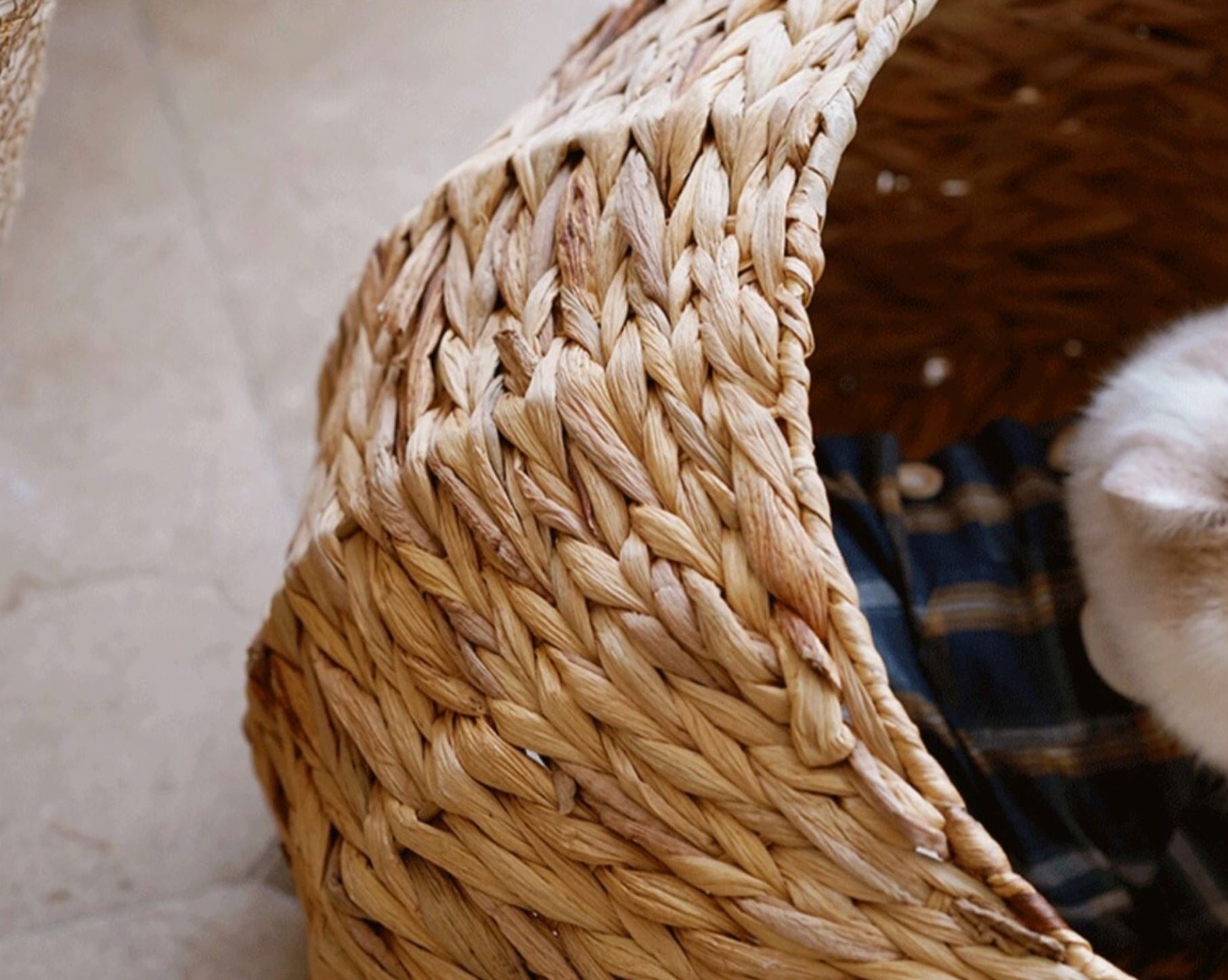 panier chat osier élégant