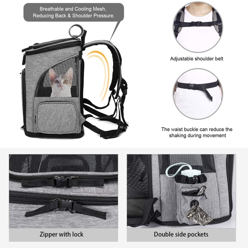 sac durable pour chat MaineCoon