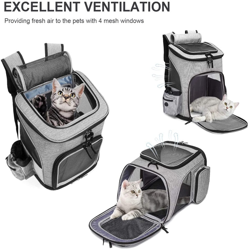 accessoire voyage pour chat