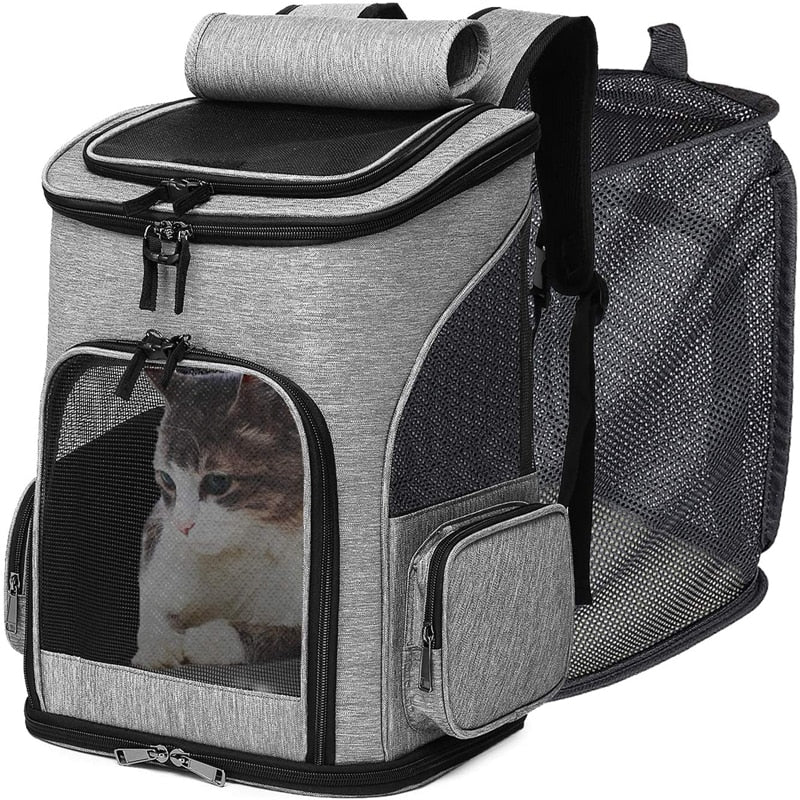 sac à dos extensible chat