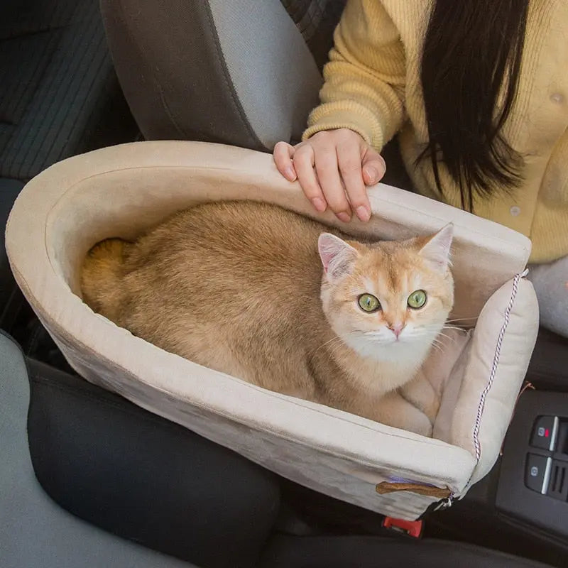 confort pour chat en voiture