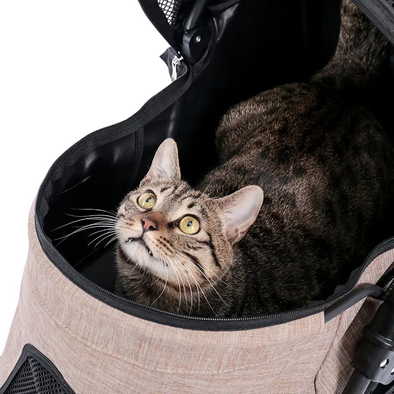 poussette chat design pliant