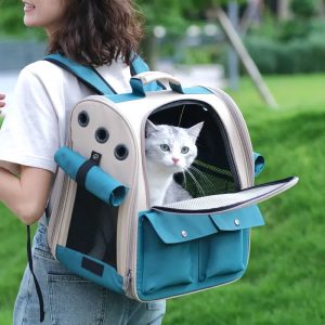 sac à dos bleu pour chat
