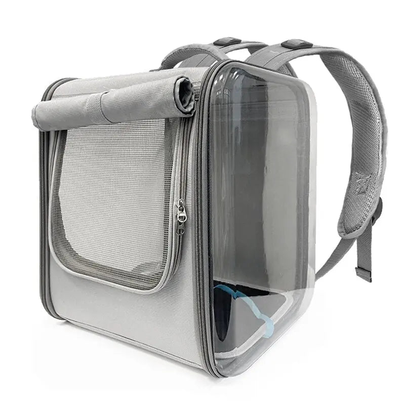sac à dos pour félin