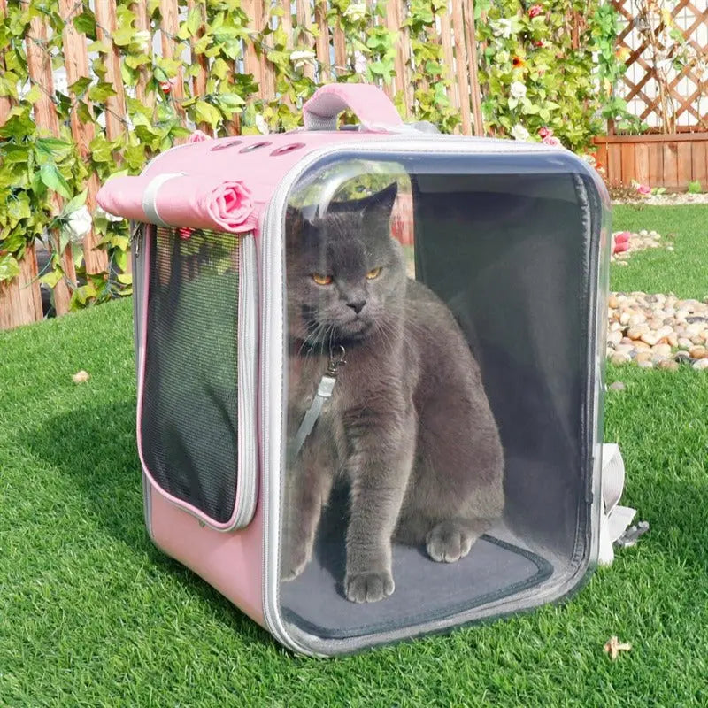 sac à dos design pour chat