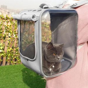 sac à dos carré pour chat