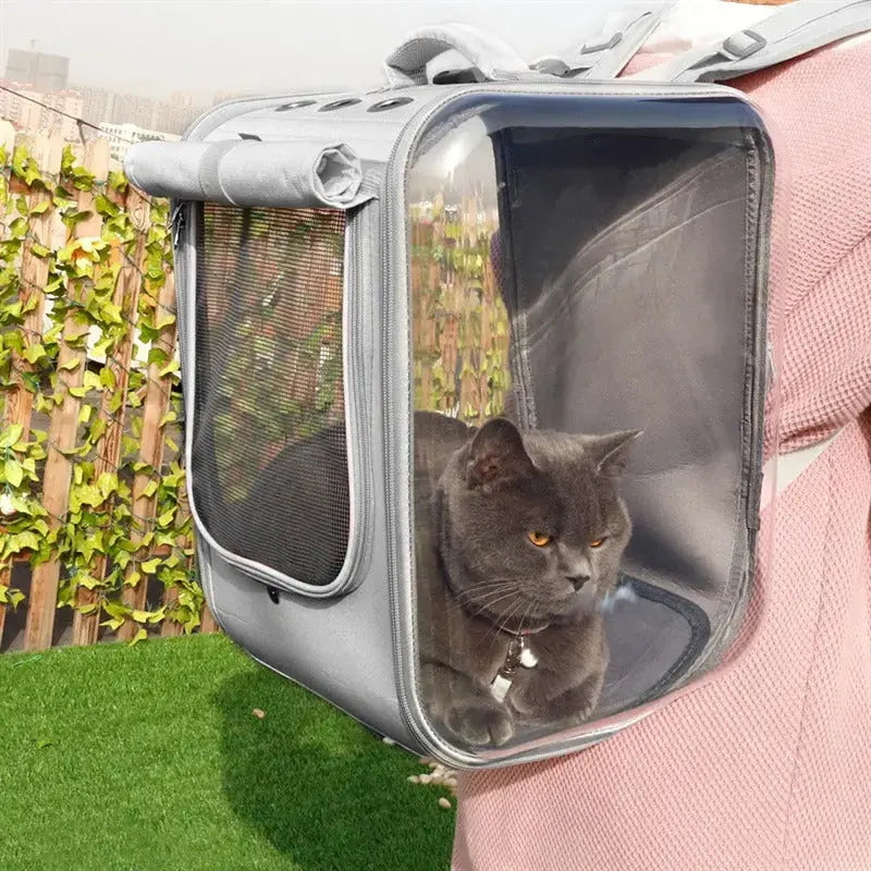 sac à dos carré pour chat