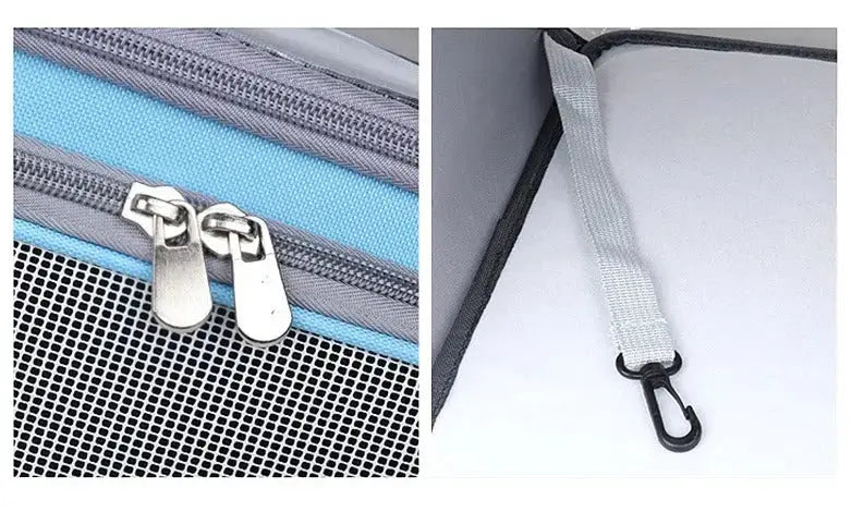 voyage avec chat sac à dos