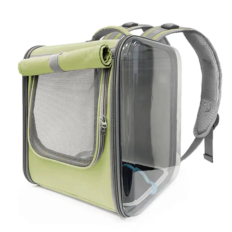 parois transparentes sac chat