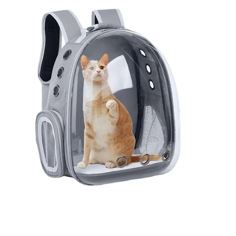 sac à dos d'extérieur à bulles pour chat