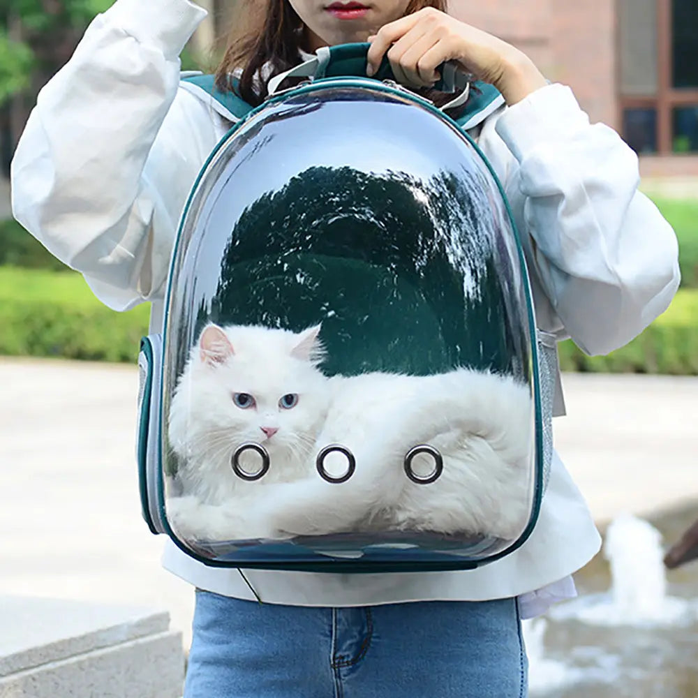 confort optimal chat sac