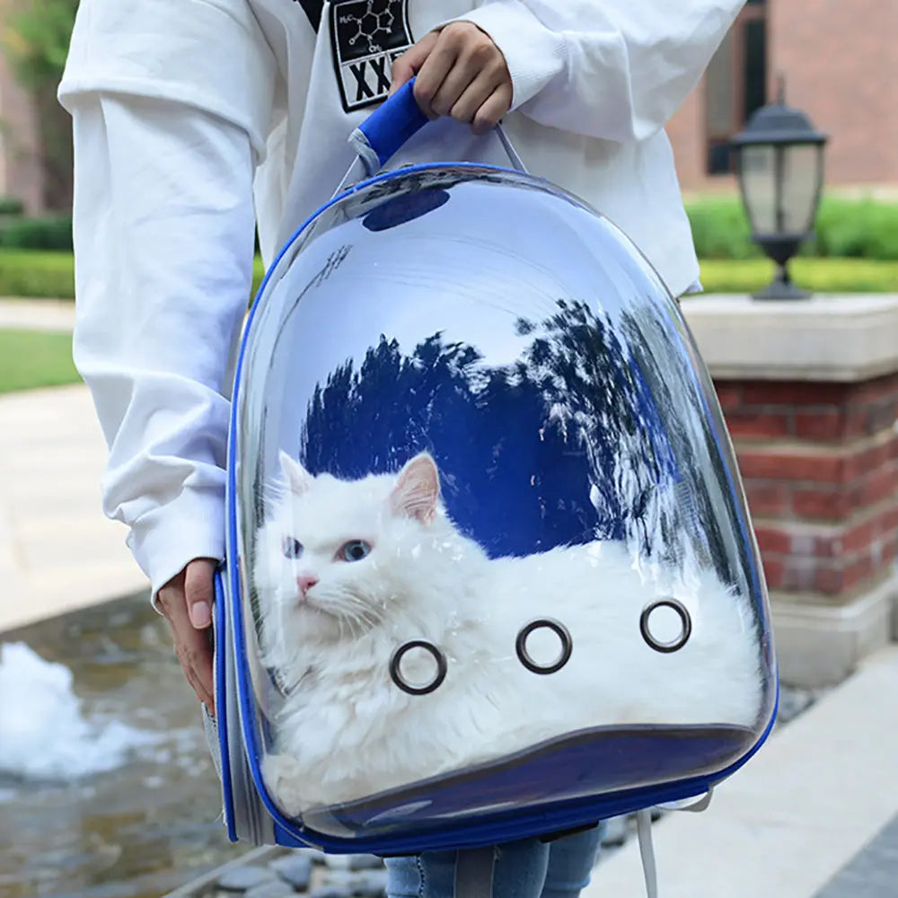 sac à dos explorateur chat