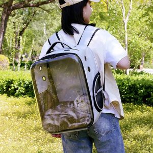 sac à dos de transport pour chat