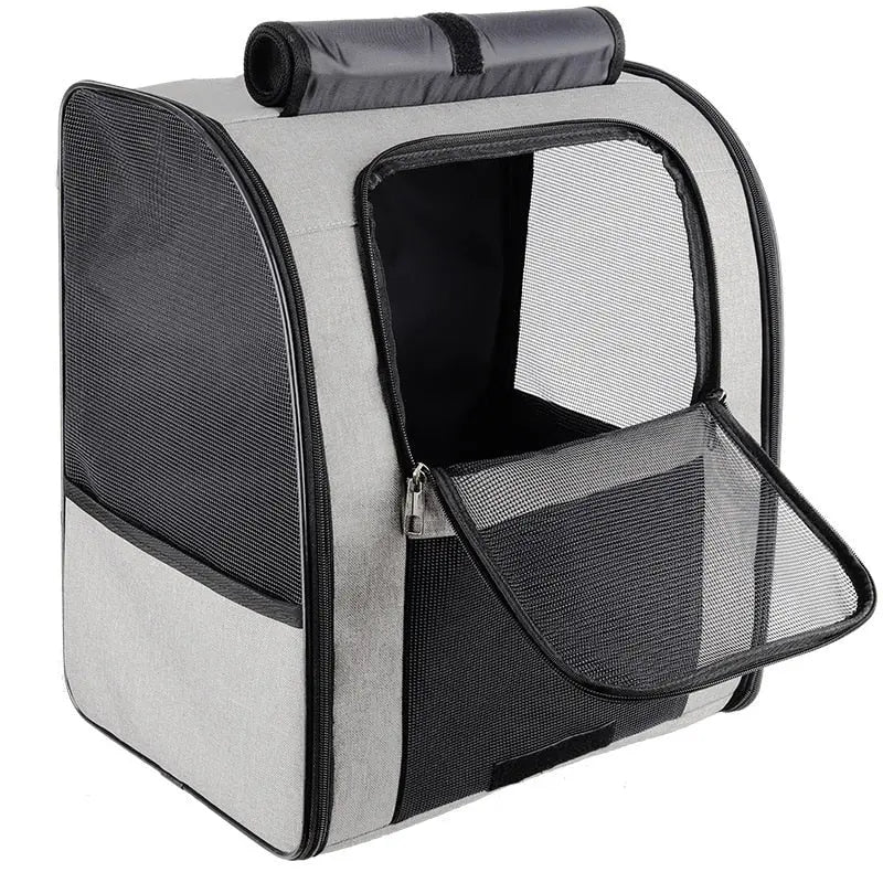 sac à dos pour chat