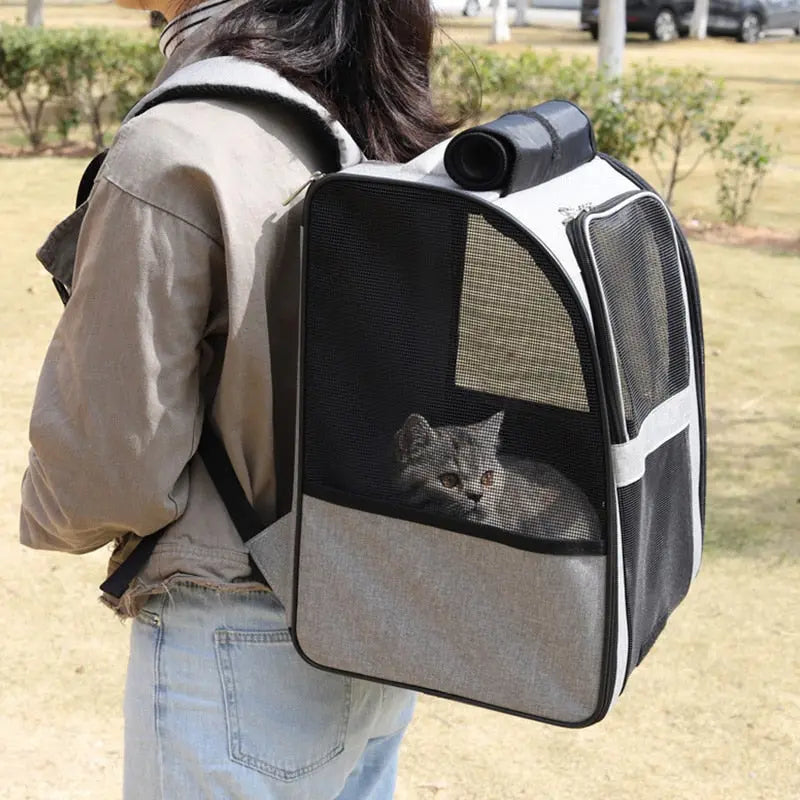 sac léger pour transport de chat