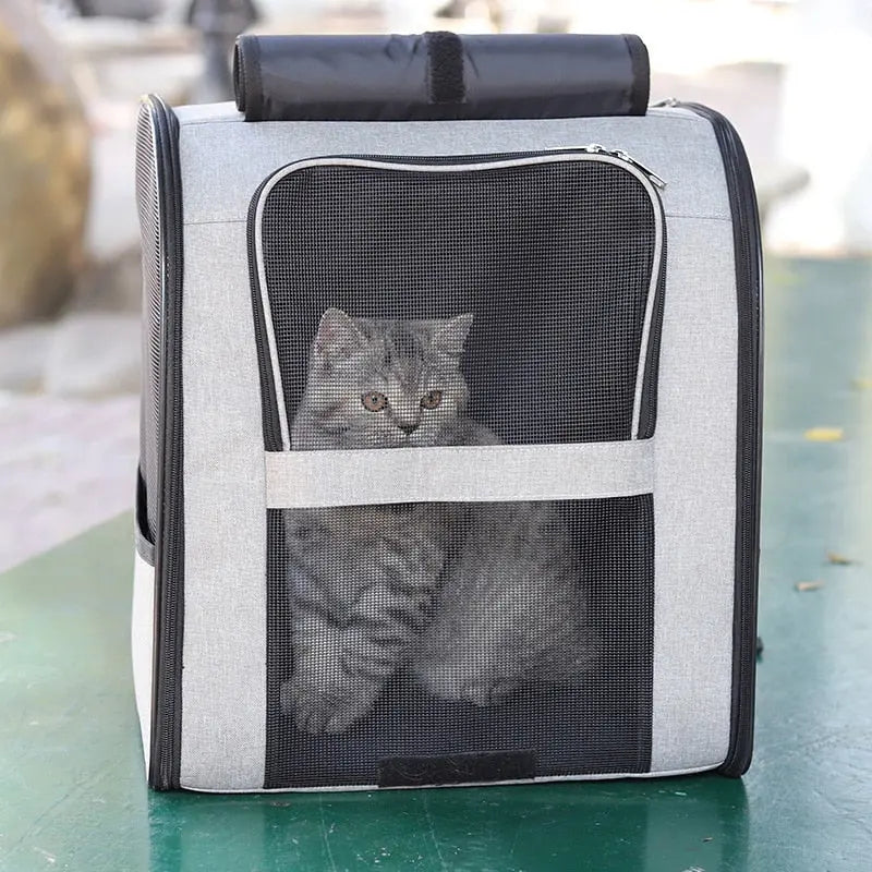 sac moderne pour chat