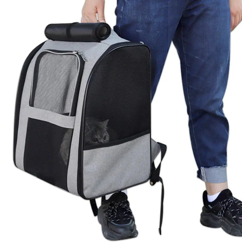 sac ergonomique pour chat