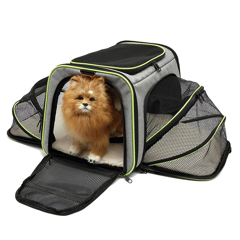 sac de transport pour chat vert et gris