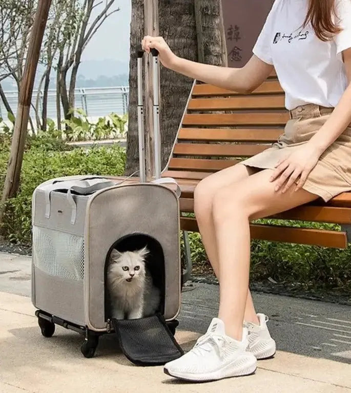 sac à roulettes pour chat