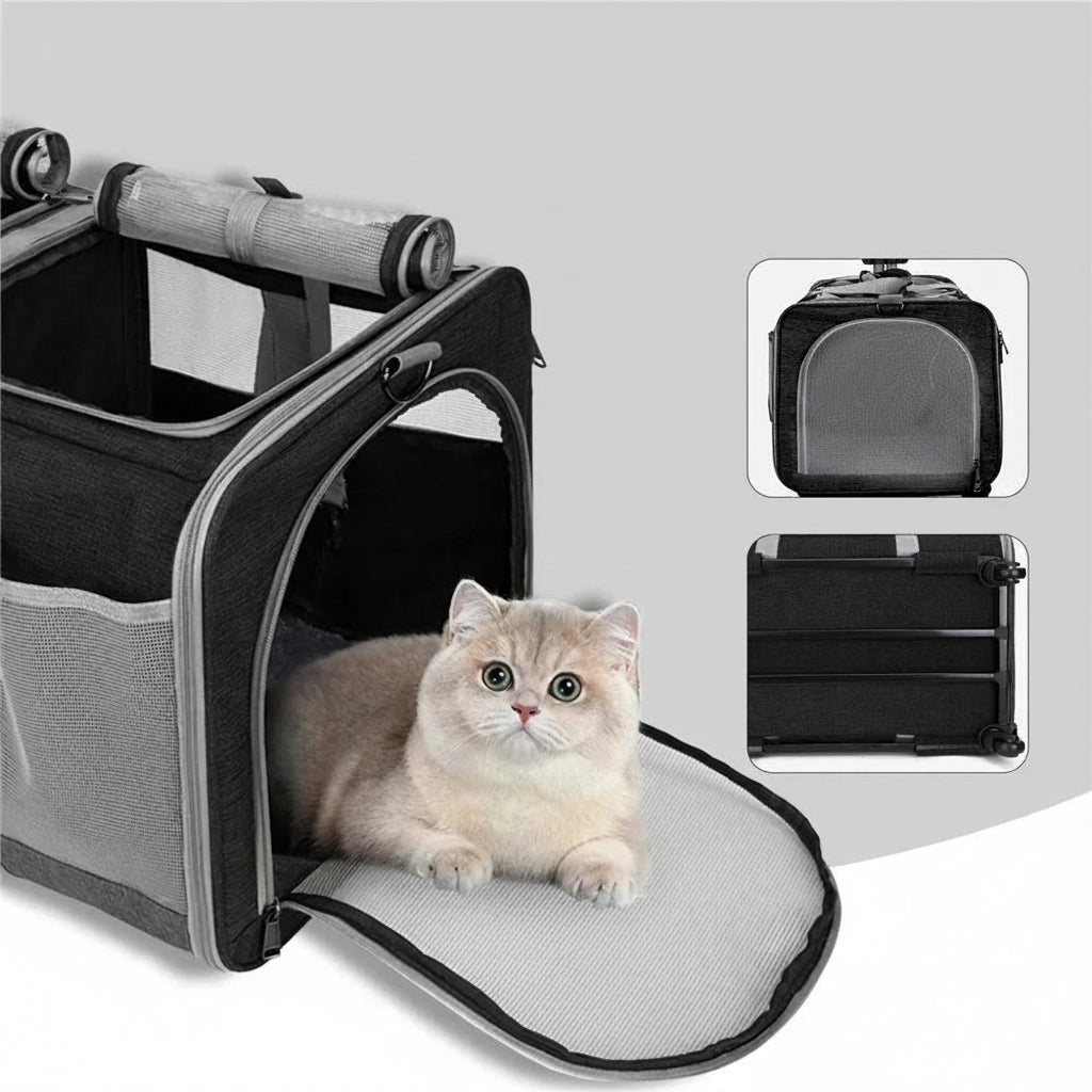 transport sécurisé pour chats
