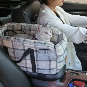 sac transport chat MaineCoon