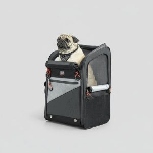 sac moto pour chat