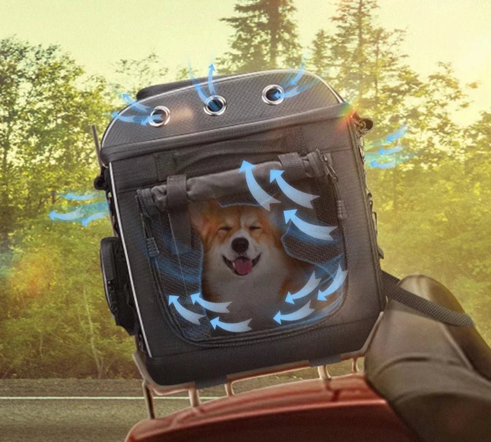 sac pour chat résistant moto