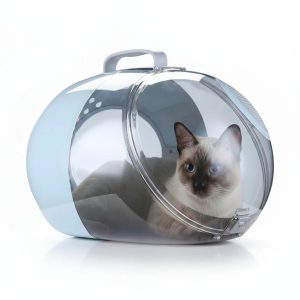 sac de transport transparent pour chat