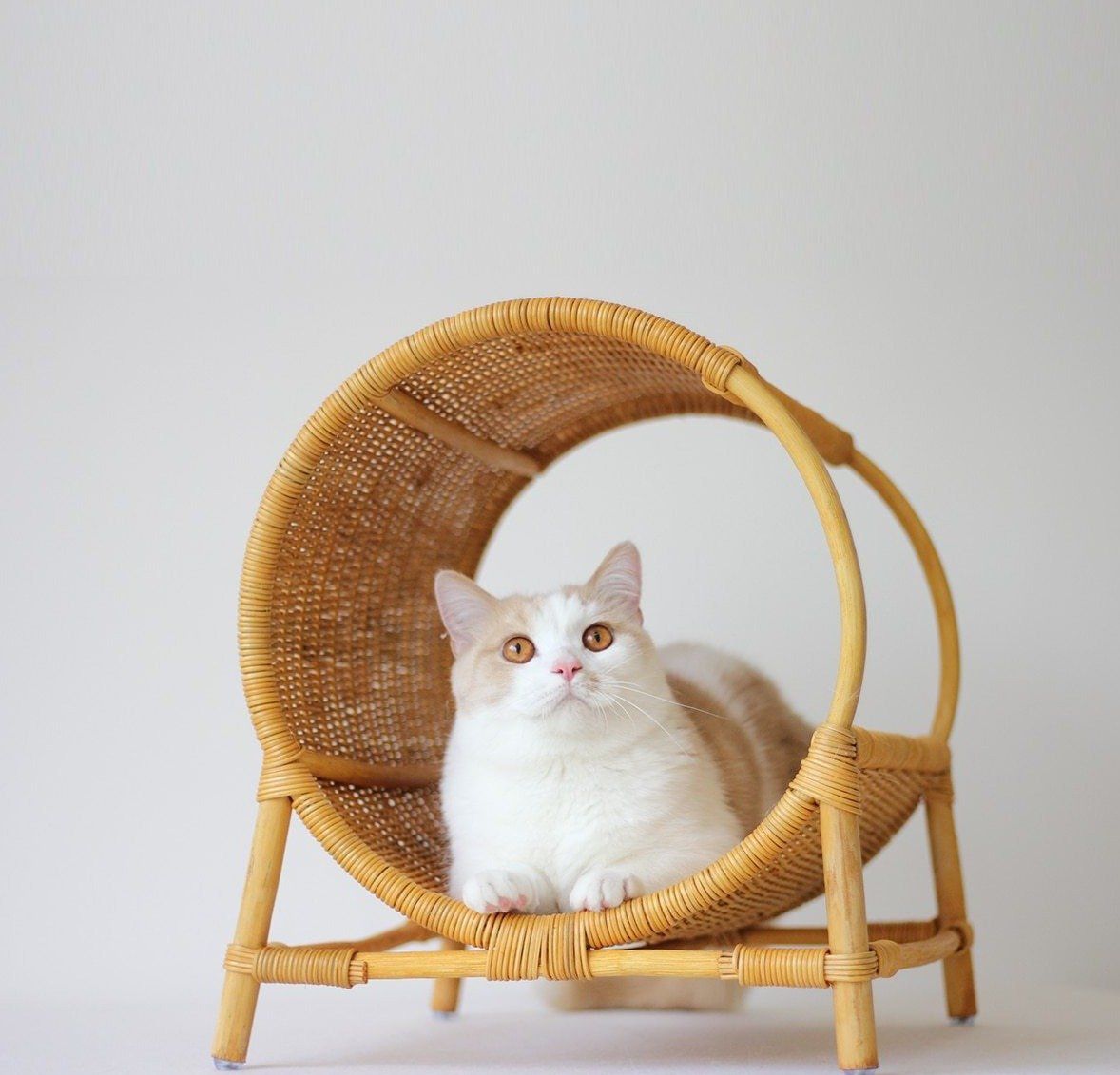 espace de repos en osier pour chat