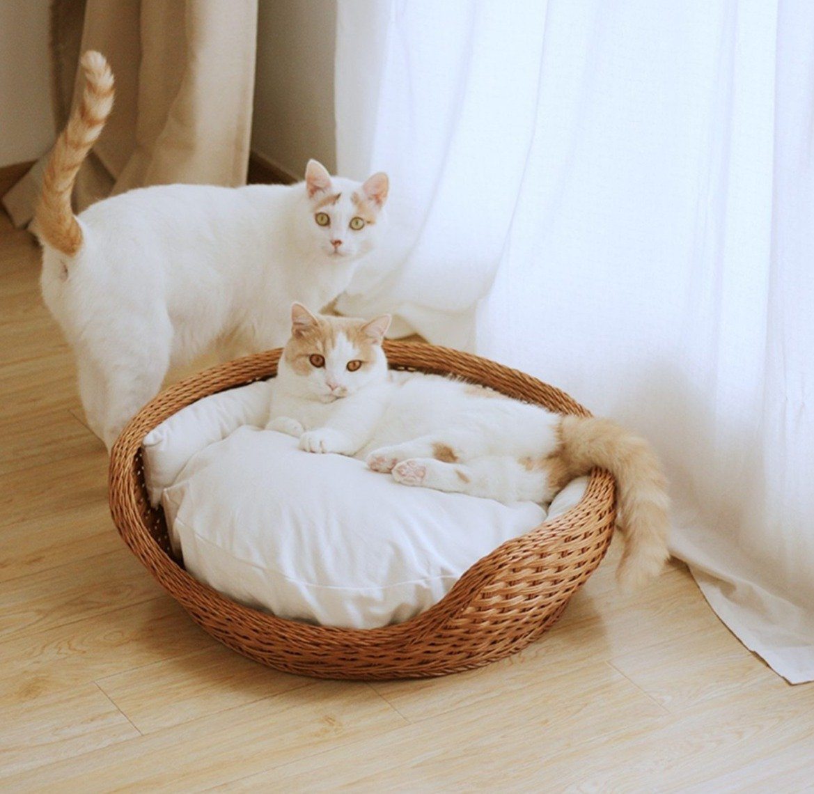 panier de luxe pour chat