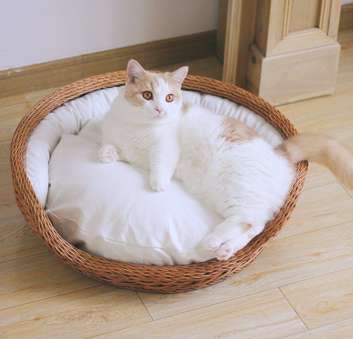 espace de détente chat