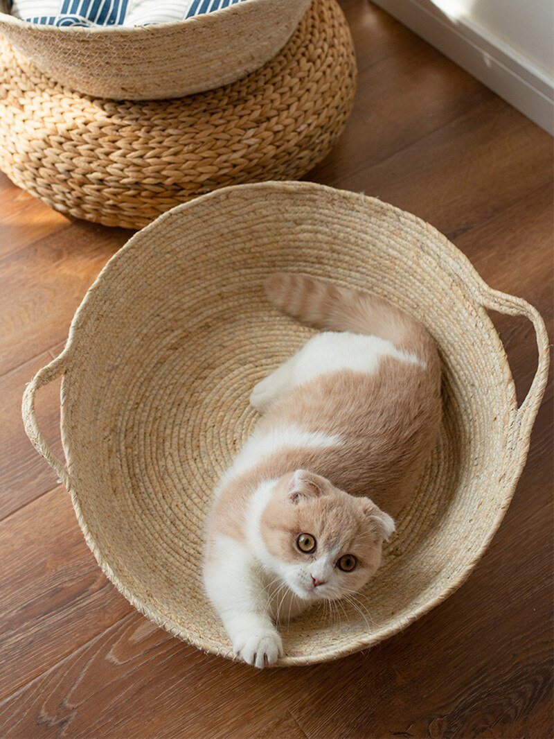 osier naturel panier chat