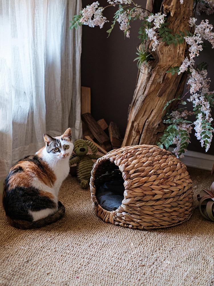 refuge chat en osier