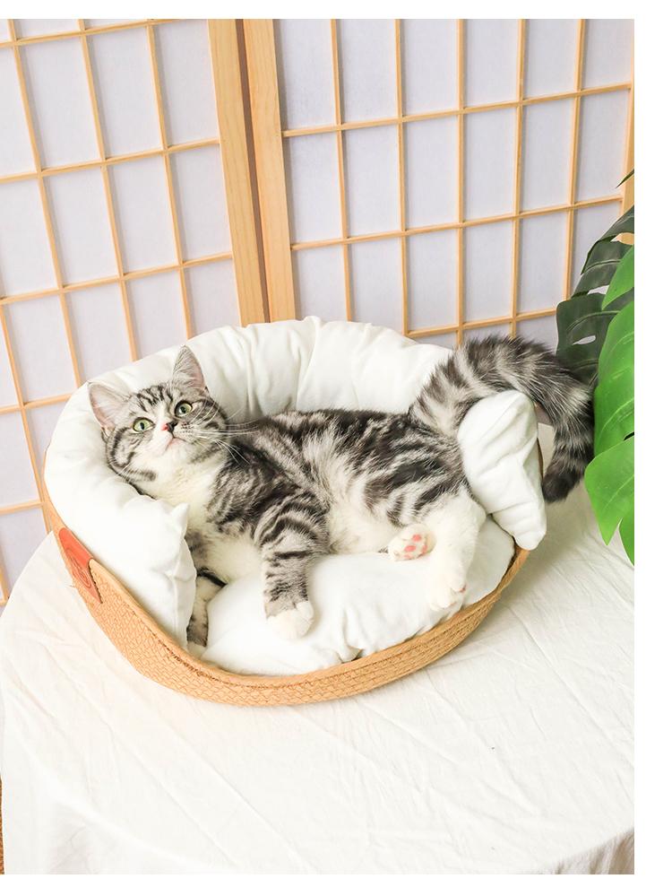 design élégant pour chat