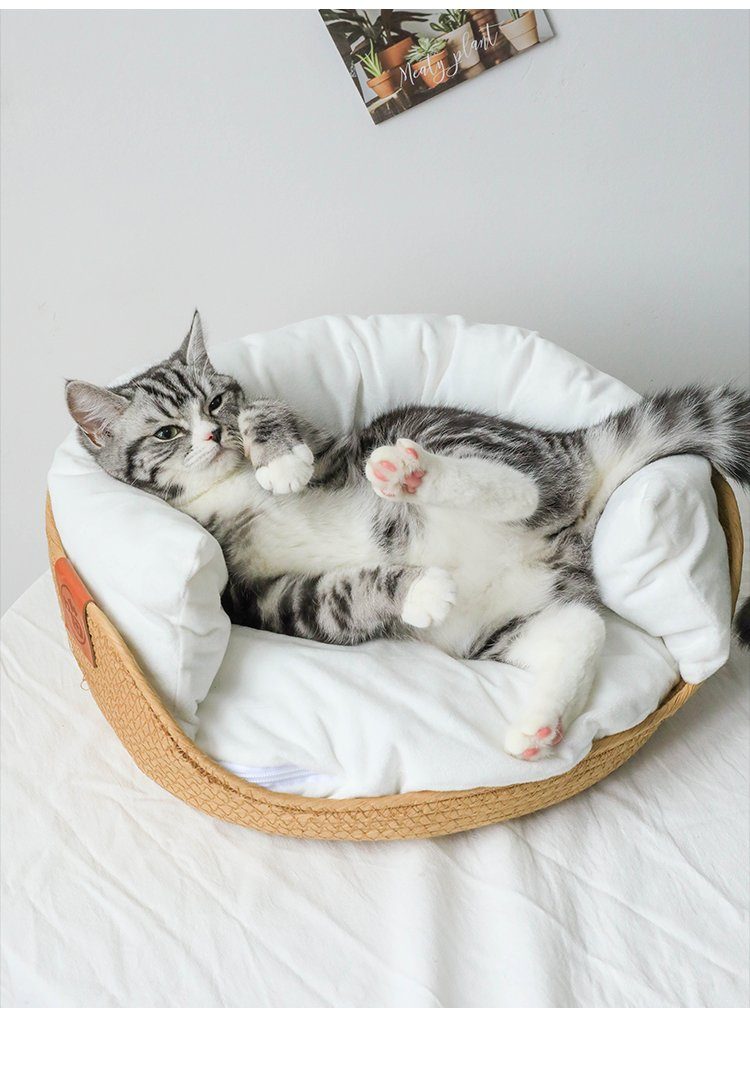 refuge pour chat