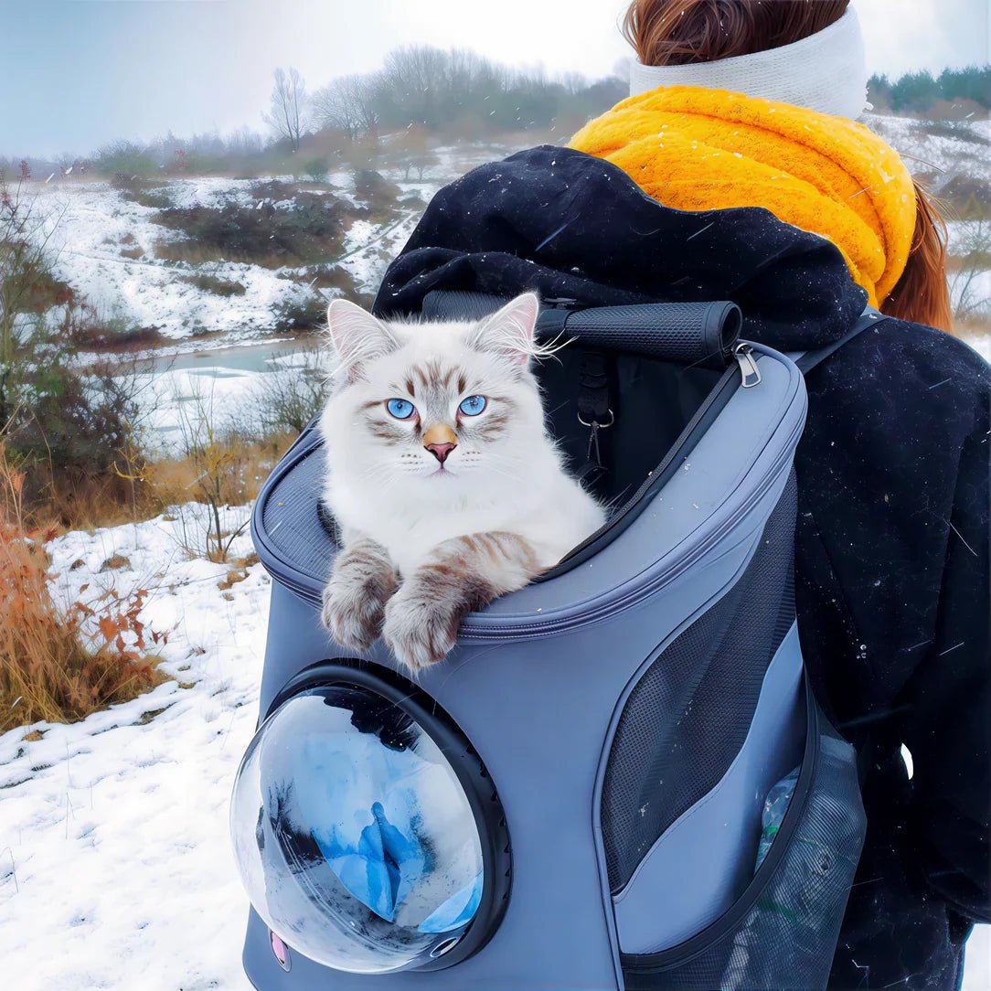 sac transport chat gris